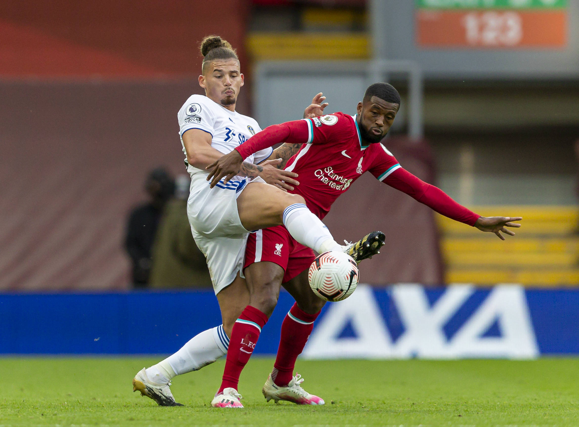 振奋的消息 振奋的消息